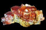 Red & Brown Vanadinite Crystal Cluster - Morocco #117721-1